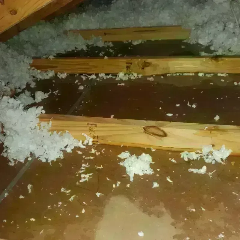 Attic Water Damage in Patton, PA